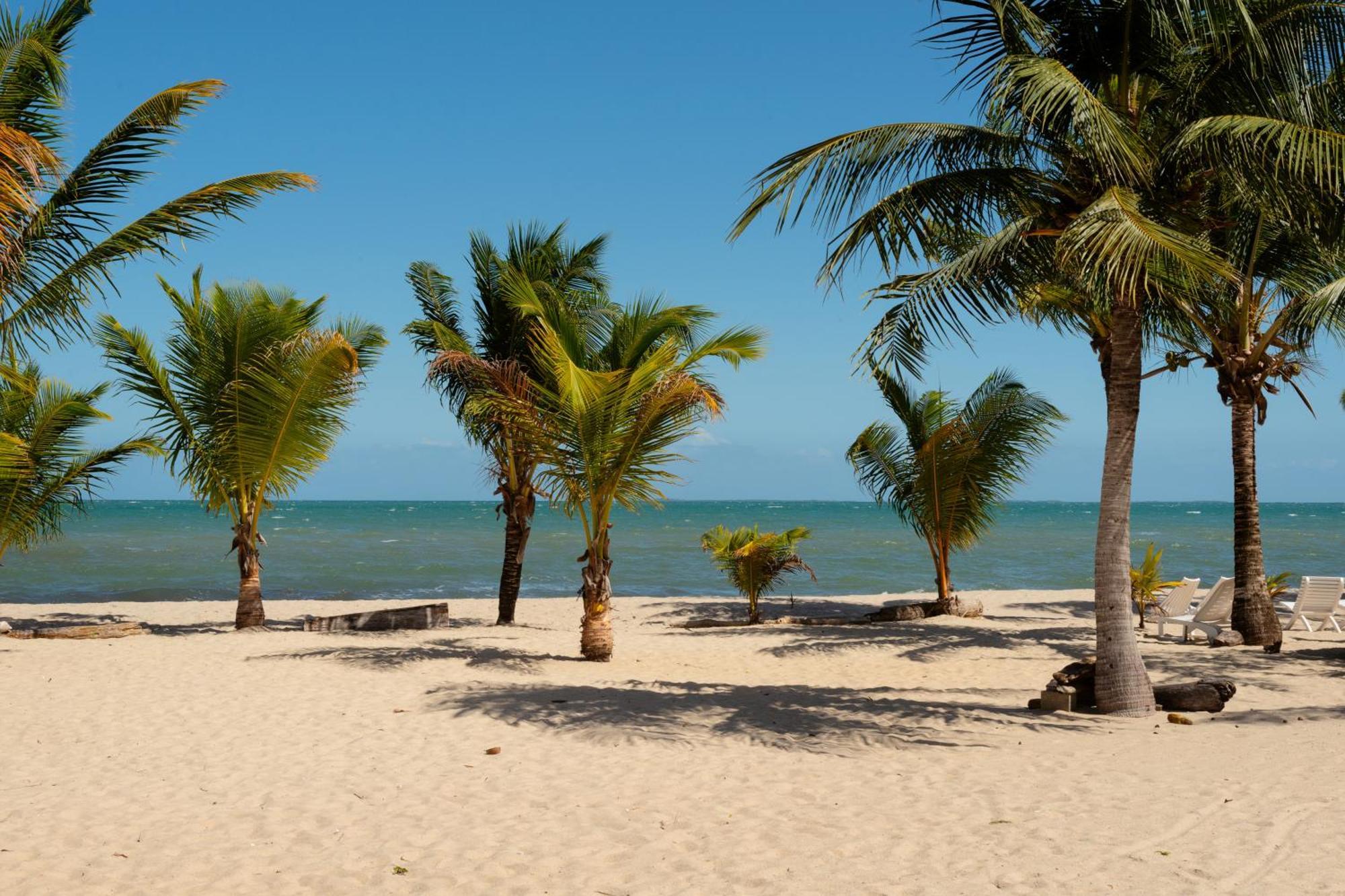 Sandy Feet Beach Resort Placencia Exterior photo